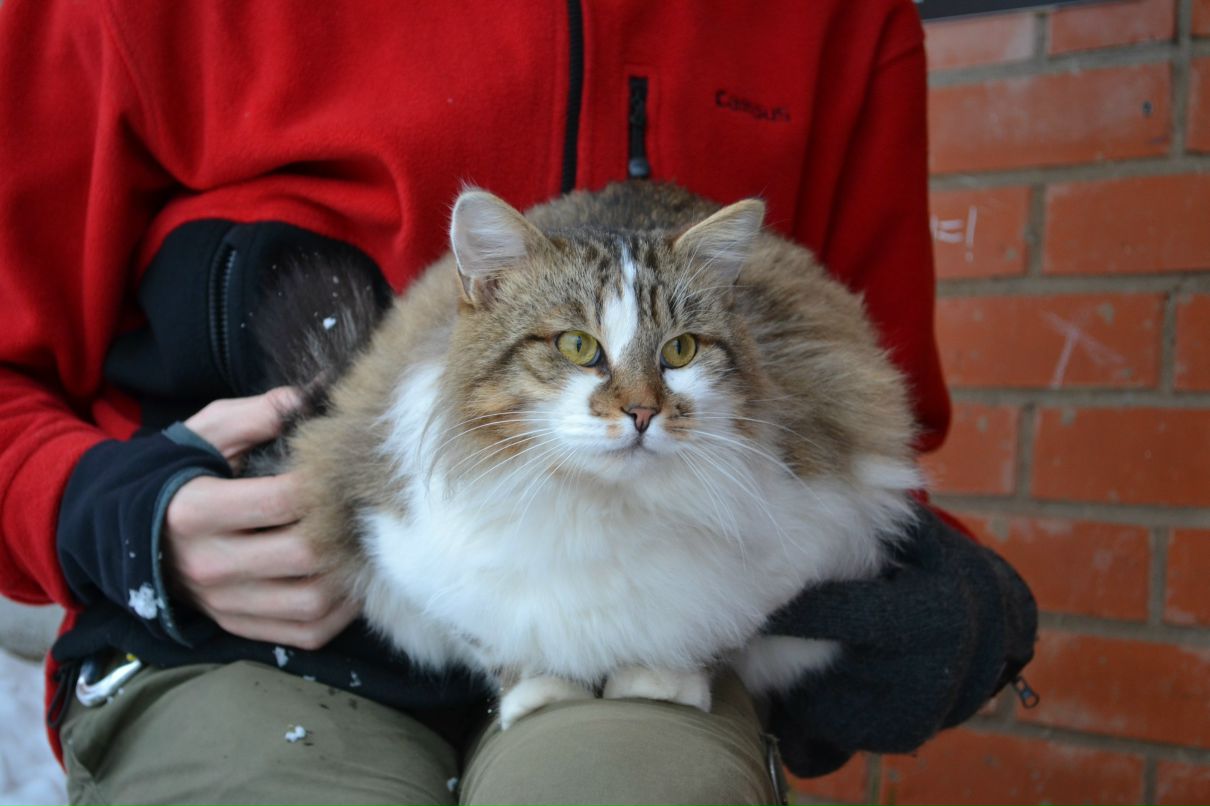 Маша Сорокина | Москва