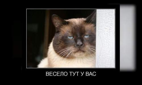 Игнат Генрихович | Москва