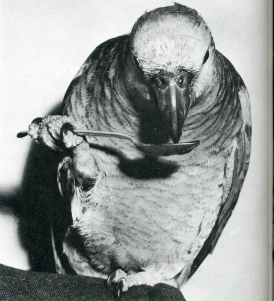 №10, Татьяна Смирнова, Краснодар №10, Татьяна Смирнова, Краснодар