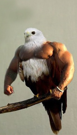 №140, Тоша Татошкович, Москва №140, Тоша Татошкович, Москва