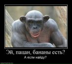 №11 Игорь Гавриков : профиль, фото, статус - ВКонтакте