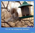 №15 Ирина Белоева 11.01: профиль, фото, статус - ВКонтакте №15 Ирина Белоева 11.01: профиль, фото, статус - ВКонтакте