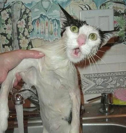 Александр Бысик | 