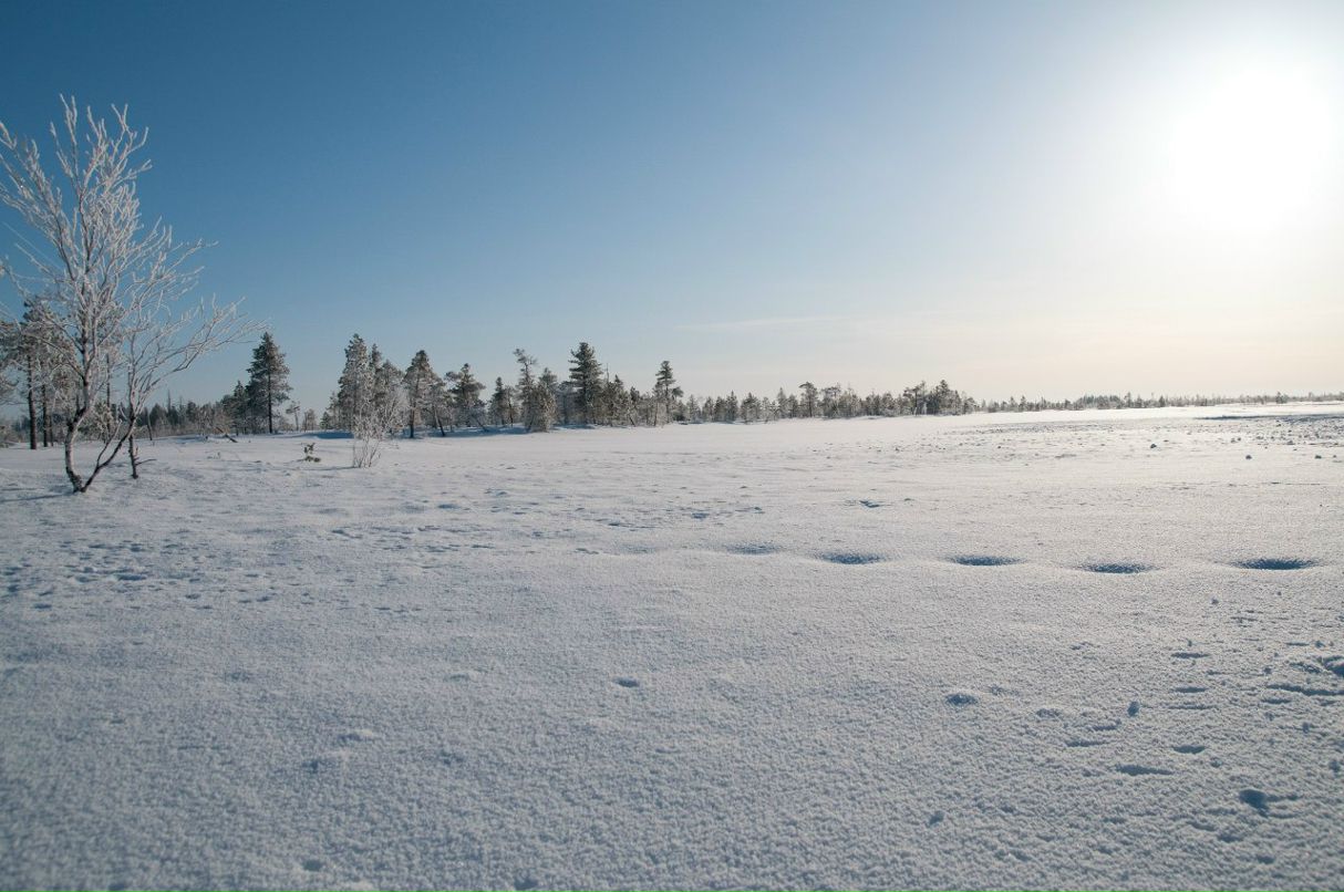 Василий Пашнин | Екатеринбург