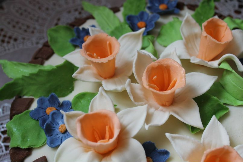 Леся Попко-Кучеренко | Киев