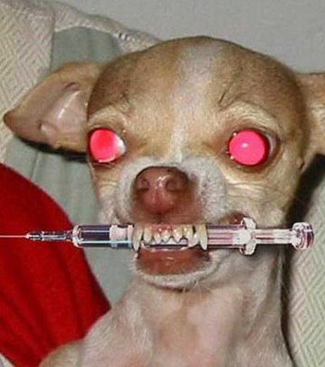 Эркюль Пуаро | Самара