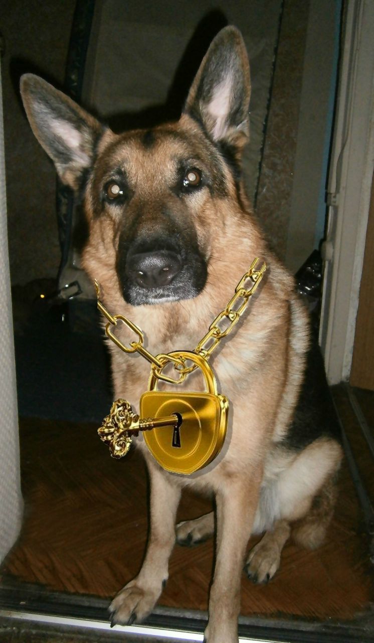 Дмитро Хмельницький fff | Киев