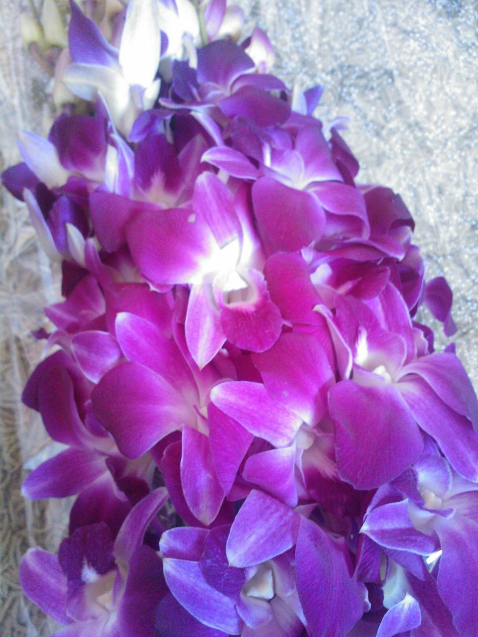 Юлия Зименкова Zion | Москва