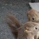 №40, Вітя Глушук, Луцк №40, Вітя Глушук, Луцк