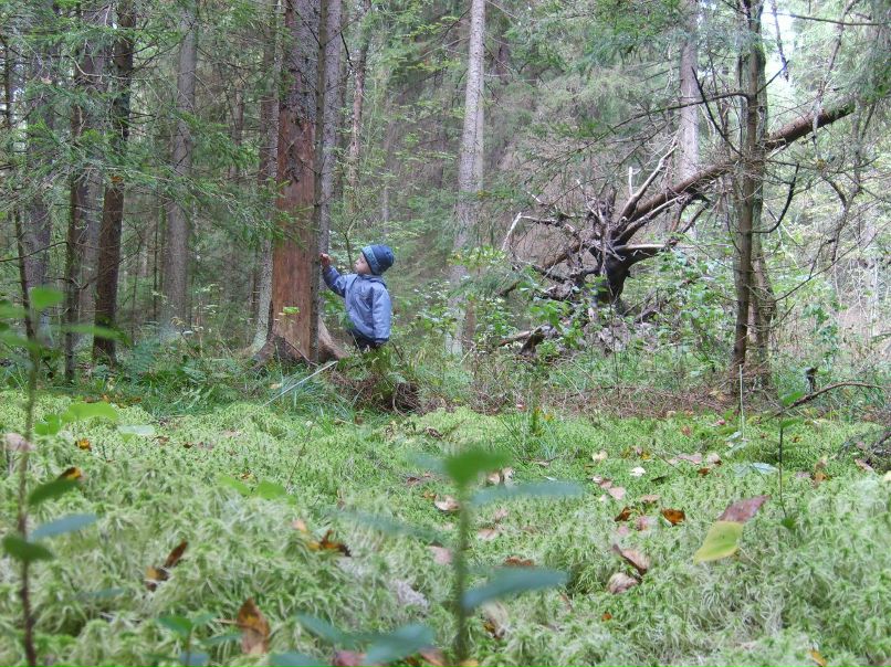 Игорь Райфшнайдер (Рыжий) | Москва