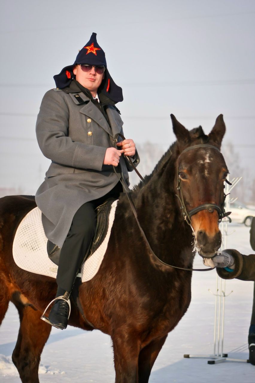 Ирландский Грибоед | Кемерово