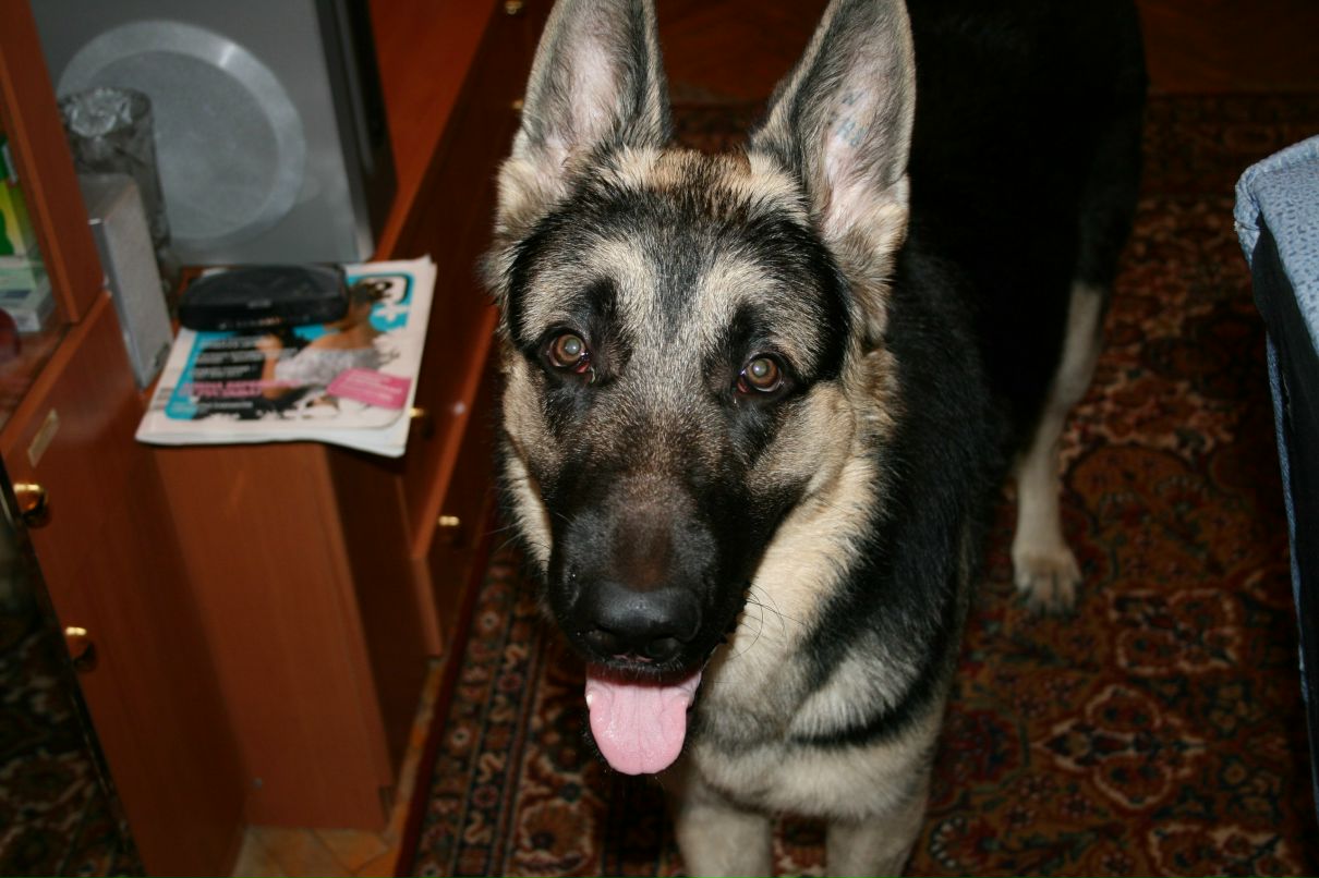 Валентина Аксёнова | Москва