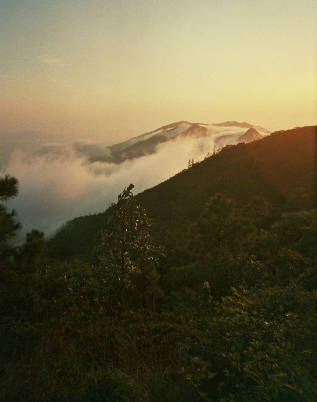 Оля Черкасская | Киев