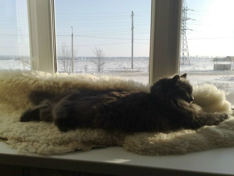 Вячеслав Костенко | Мариуполь