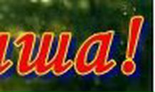 Михаил Бородин Auditore | Отрадный