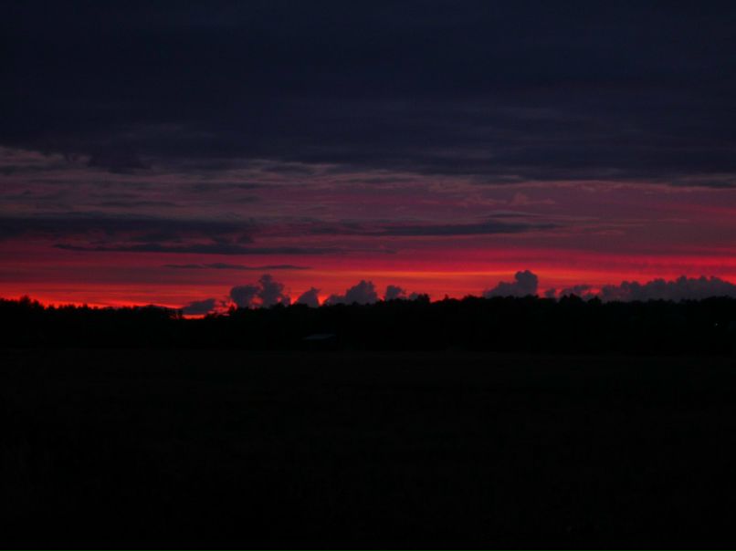 Борис Волков <King> | Москва