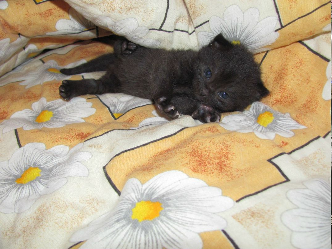 Танюша Таже vSe | Кривой Рог