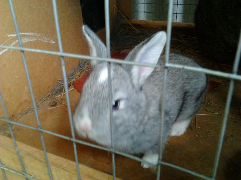 Елена Майсак | Горловка