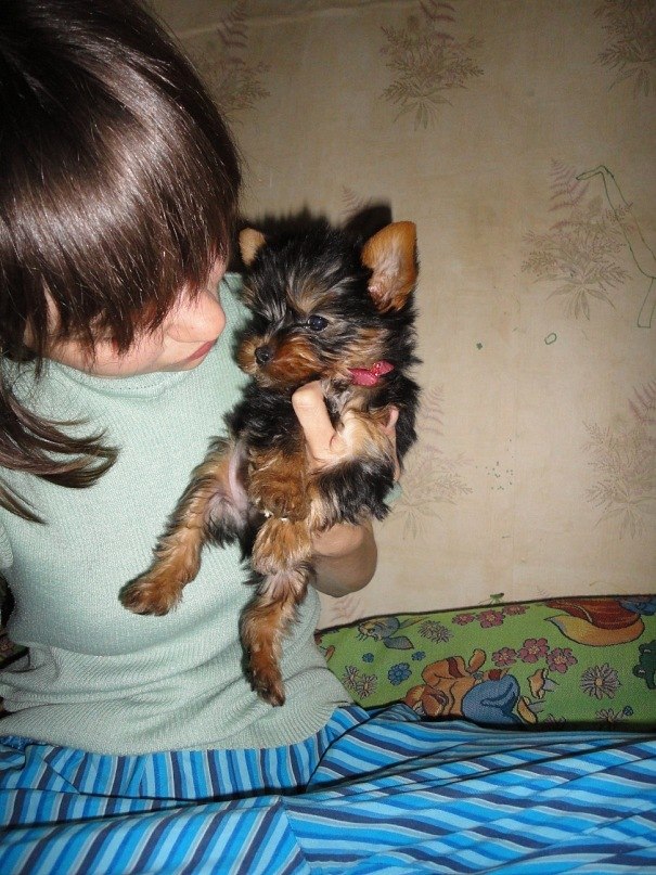 Виктория Гильгова | Санкт-Петербург