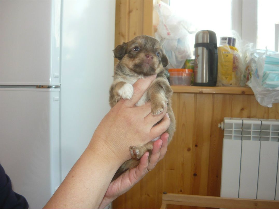 Максим Иванов | Санкт-Петербург