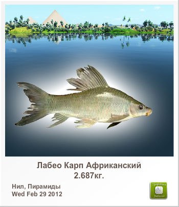 Оксана Фабрис | Запорожье