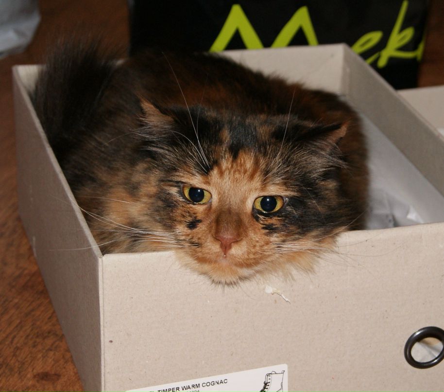 Тина Савченко 