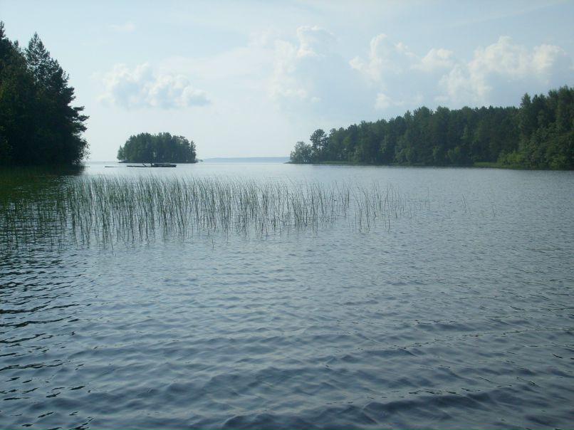 Артем Крылов | Петрозаводск