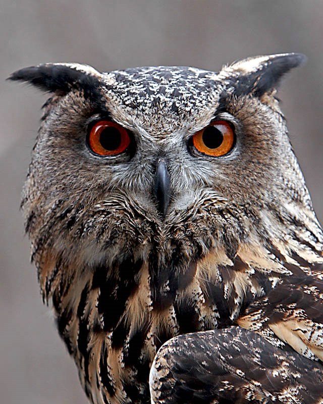 Максим Крылов | Москва