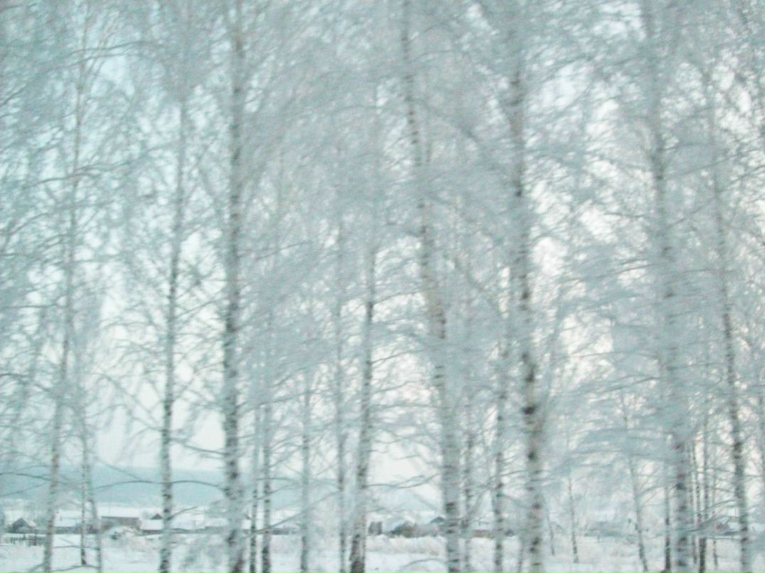 Ольга Мещерякова | Тольятти