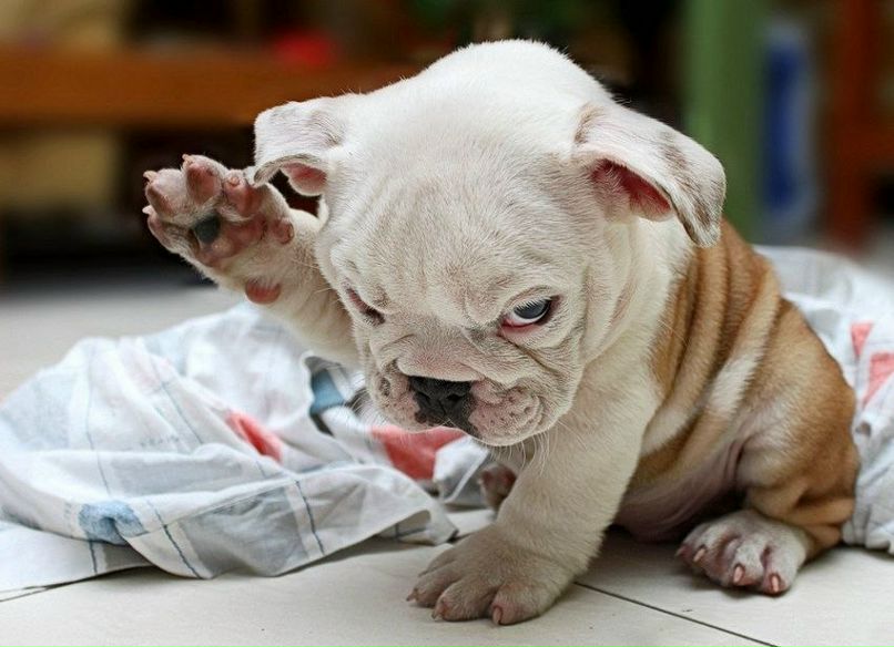 Николай Михайлов | Москва