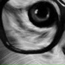 Ирина Боднарчук | 