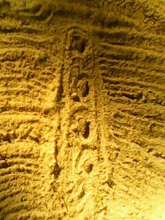 Майя Архипенко | Санкт-Петербург