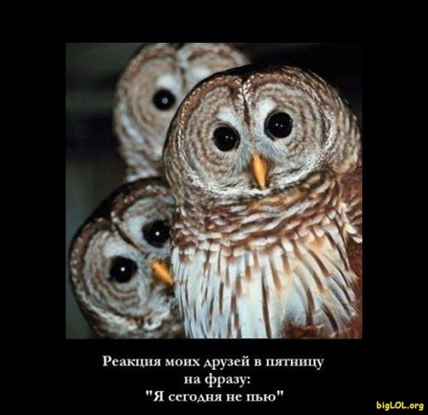 Сергей Осипенко | Charlotte Amalie