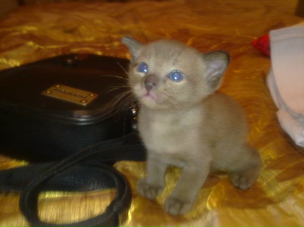 №15, Татьяна Беляева, Череповец №15, Татьяна Беляева, Череповец