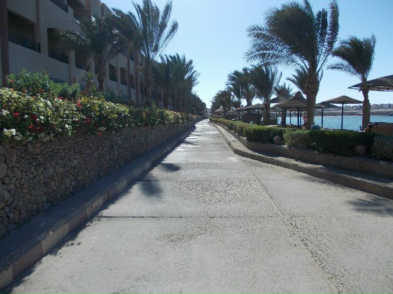 Анатолий Леонтьев | Санкт-Петербург