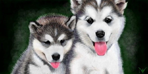 №33, Эллочка Нагавичко, Napoli №33, Эллочка Нагавичко, Napoli