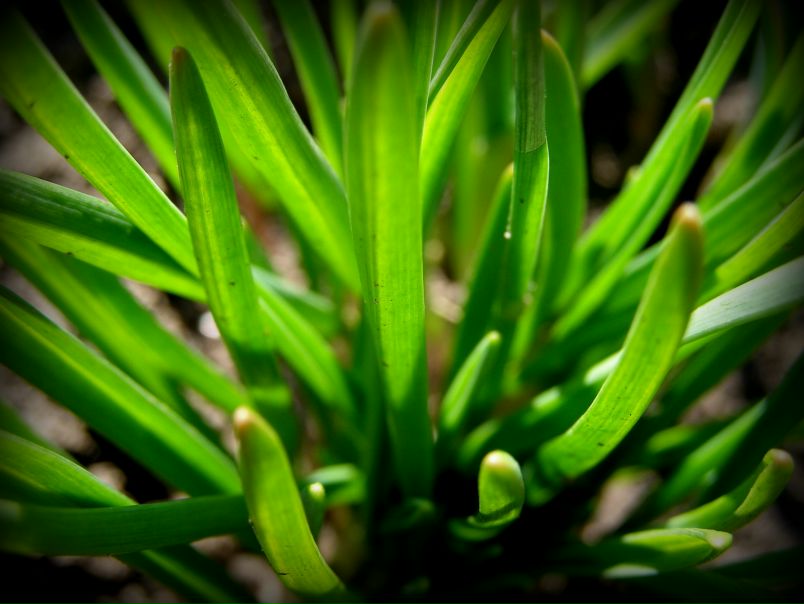 №109, Ксюша Вишнякова, 36 лет, Краснодар, Россия №109, Ксюша Вишнякова, 36 лет, Краснодар, Россия