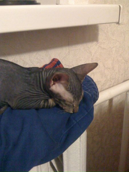 №4, Альбина Галиуллина, Тюмень №4, Альбина Галиуллина, Тюмень