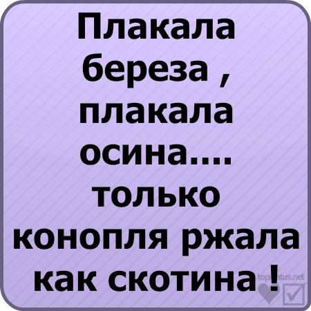№115, Христина Колодрібська, 32 года, Шировцы №115, Христина Колодрібська, 32 года, Шировцы