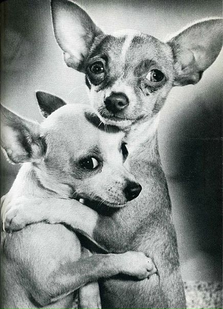 №50, Марина Коваль, 38 лет, Москва №50, Марина Коваль, 38 лет, Москва