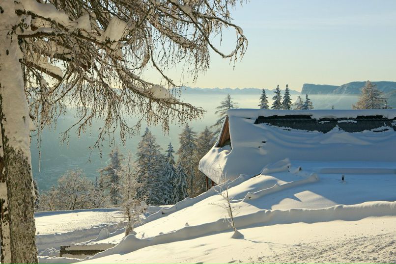 Ольга Федосеева | Вологда