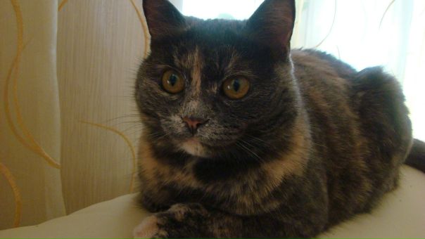 №8, Катерина Гак, 39 лет, Санкт-Петербург №8, Катерина Гак, 39 лет, Санкт-Петербург