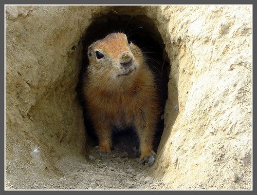 Руслан Беликов | Валуйки