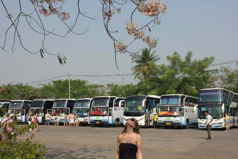 Аня Оруджева | Новосибирск