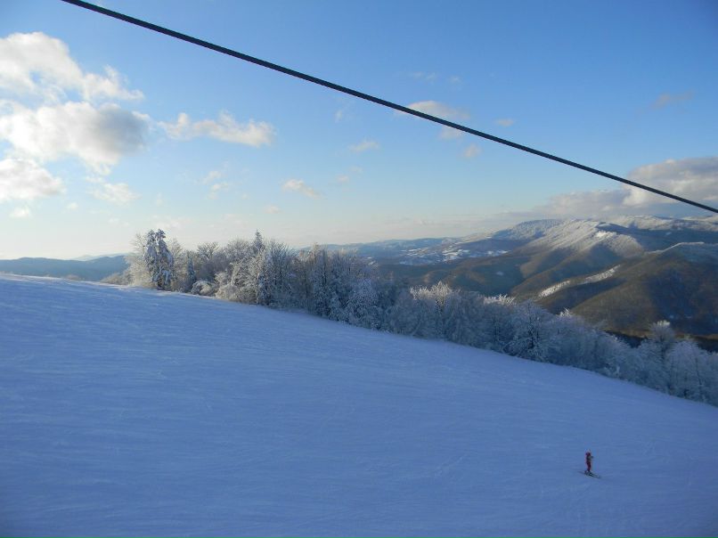 Лариса Герман | Киев