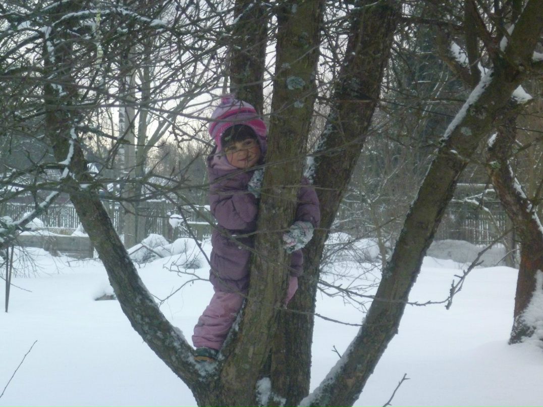 Анатолий Резников | Санкт-Петербург