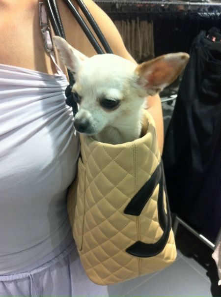 №74, Анна Суркова №74, Анна Суркова