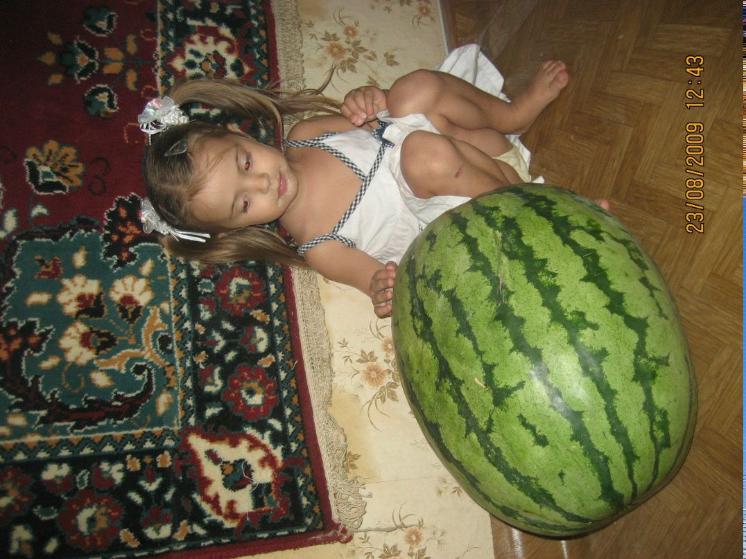 Алексей Цыбохин | 