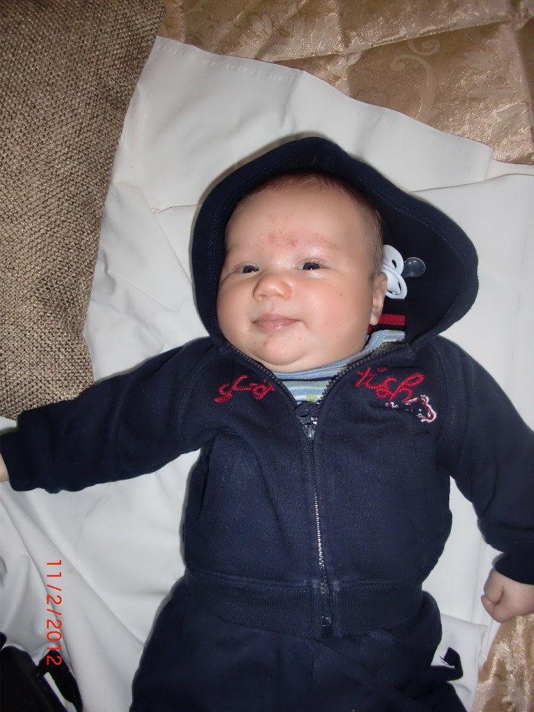 Диана Шабан | Venezia