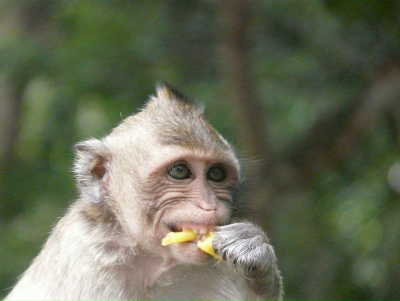 №50, Александр Затуливетров, Санкт-Петербург №50, Александр Затуливетров, Санкт-Петербург